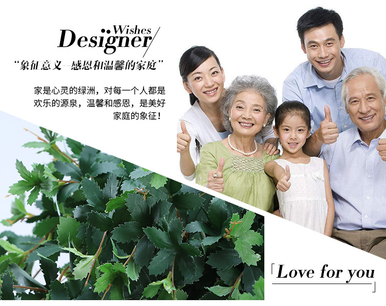 仿真招财叶壁挂花藤家居装饰紫藤花假花吊花客厅挂墙花吊兰塑料花详情2