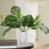 Товары от 苏锦绿植旗舰店