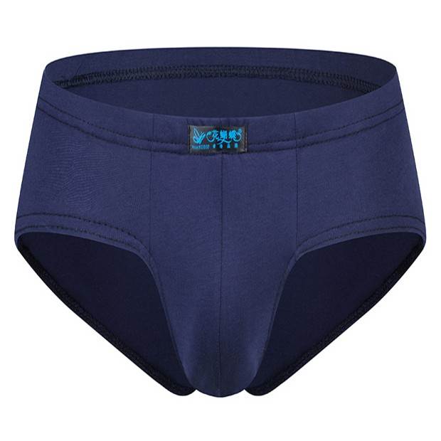 Bốn hộp quà tặng quần lót nam tam giác cao eo cotton trung niên cha già ông béo béo quần short kích thước lớn quần lót dây