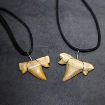 Shark tooth fossil handmade Aquarium first jewelry diy pendant evil New Product Boutique excavation gift pendant