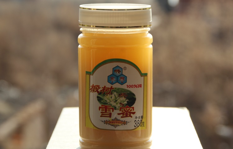 380g honey bottle Pollen bottle Plastic bottle PET can Herbal tea bottle(GJ041A)