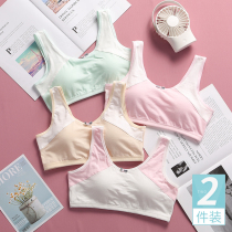 13 developmental bra cotton small vest 12 junior high school students 10 girls bra without steel ring 15 years old thin