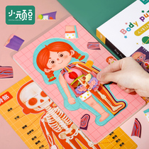Childrens Human Body Cognitive Body Organ Structure Puzzle Boys and Girls Model 3 to 6 Years Old Educational Toys Kindergarten