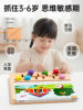 Children's Educational Board Games for Ages 3 to 6, Focus and Brain Logical Thinking Training Toys, Whole-Brain Development Teaching Aids