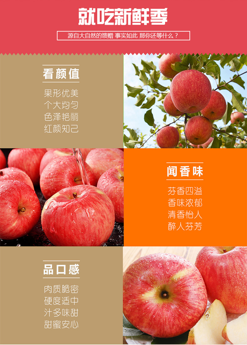 山西运城 红富士苹果 带箱10斤 单果约70mm 图3