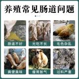 Звери пробиотиков с кондиционирующими желудочно -кишечными свиньями, коровы, овец, курицы, утки и гуся с живыми бактериями для содействия длинному аммиаку и газовым кормам добавка