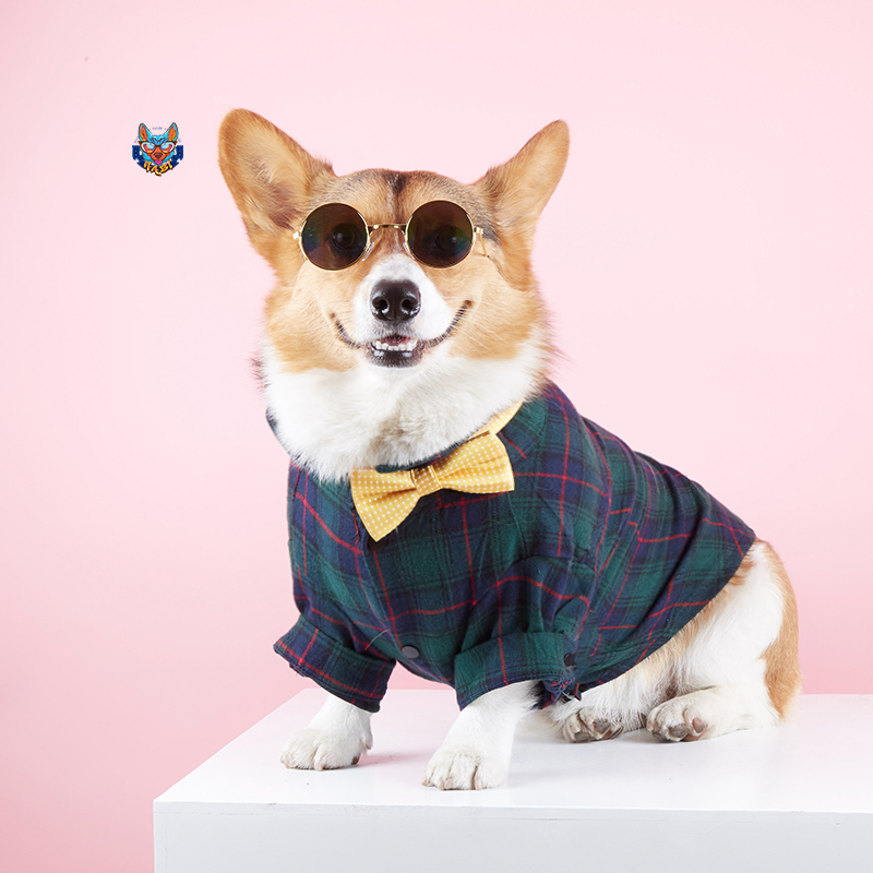 Special offer dog clothes spring and autumn classic plaid shirt cotton corgi Pomeranian teddy two-legged clothes