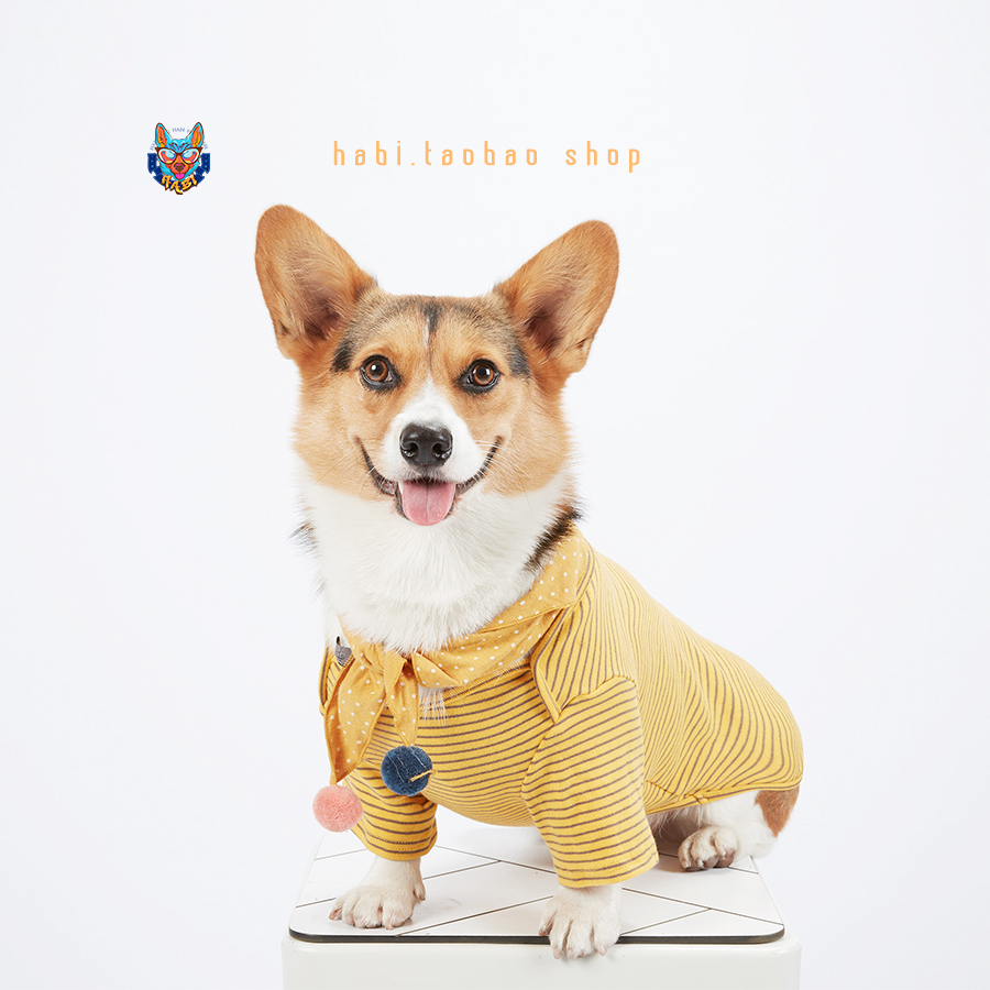 Pet dog saliva towel hair ball scarf bull corgi bear shape with photo props accessories universal