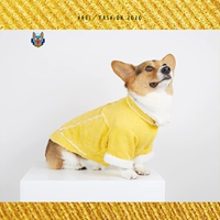 Кордиель пушистый желтый