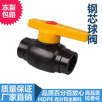 PE steel core ball valve PE water pipe pipe fittings 20mm HDPE pipe fittings PE valve water pipe fittings