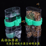 Аксессуары для птиц -клетки птицы с дозатором воды кормить чашку пищи 鹩 鹩 八 八 八 八 八 八