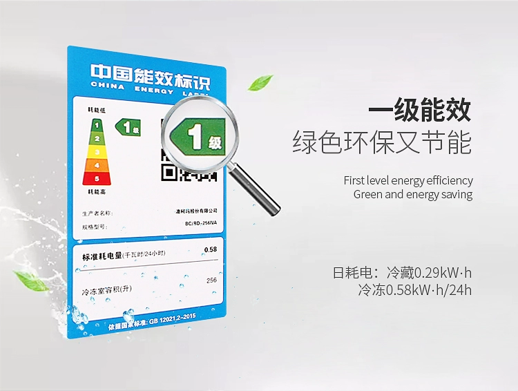 Tủ đông lạnh Aucma / Aucma BC / BD-256NA và tủ đông lạnh tiết kiệm năng lượng thương mại công suất lớn