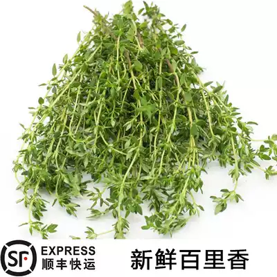 SF fresh thyme 100g fried steak spices Western bartending dining room Hotel ingredients Raw materials
