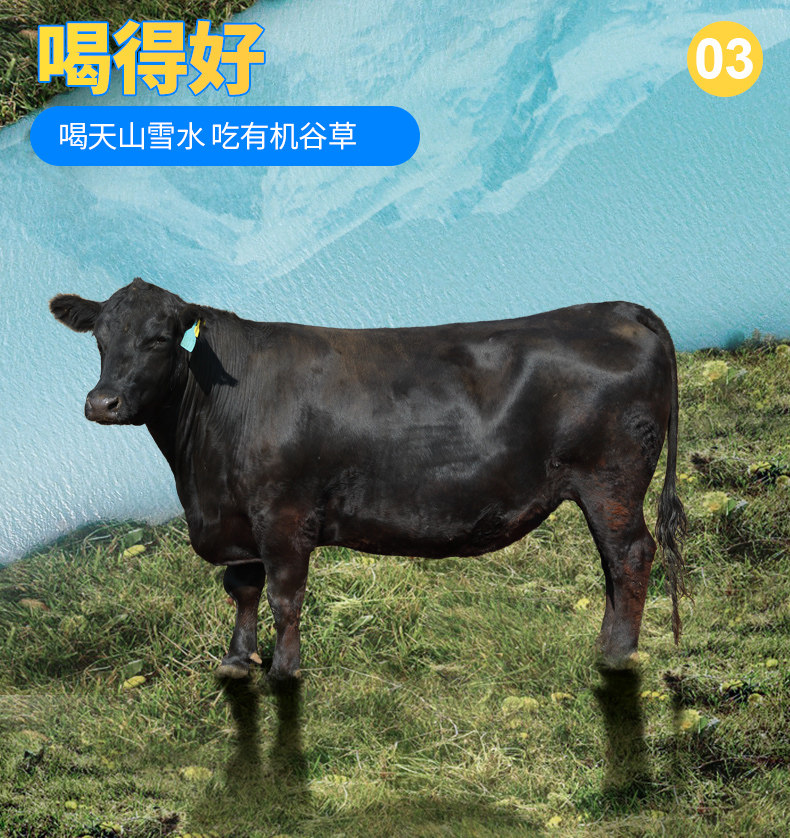 Ангус органическая подарочная коробка (зеленый tmall) _09.jpg