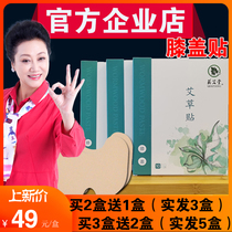 Sizhen test prescription Qi Aitang Ai paste knee to wet air wormwood paste knee stick self-heating joint pain special stick