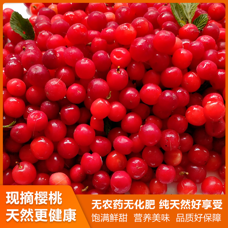 Northeast hair cherry quick-frozen wild cherry soaked wine health small cherry pregnant woman snack berries childhood fruit