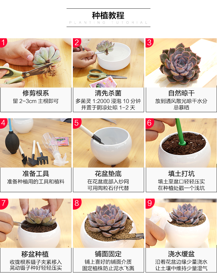 Làm vườn mọng nước ba mảnh công cụ trồng không khí thổi kéo xẻng xô cọ xịt chai trong nhà bảo trì trong chậu dụng cụ nhổ cỏ