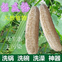 Farmhouse loofah dried loofah Bath washing pot medicinal old water gourd loofah shell cloth Brush pan