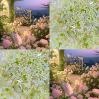 【Зеленая царство Fog Rose】 20 грамм