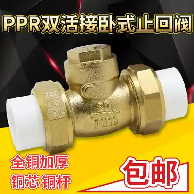 Fine copper casting ppr brass horizontal water pump water pipe check valve check valve check valve check valve 6 points 1 inch 1 5