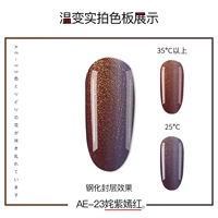 AE-23