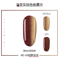 AE-24
