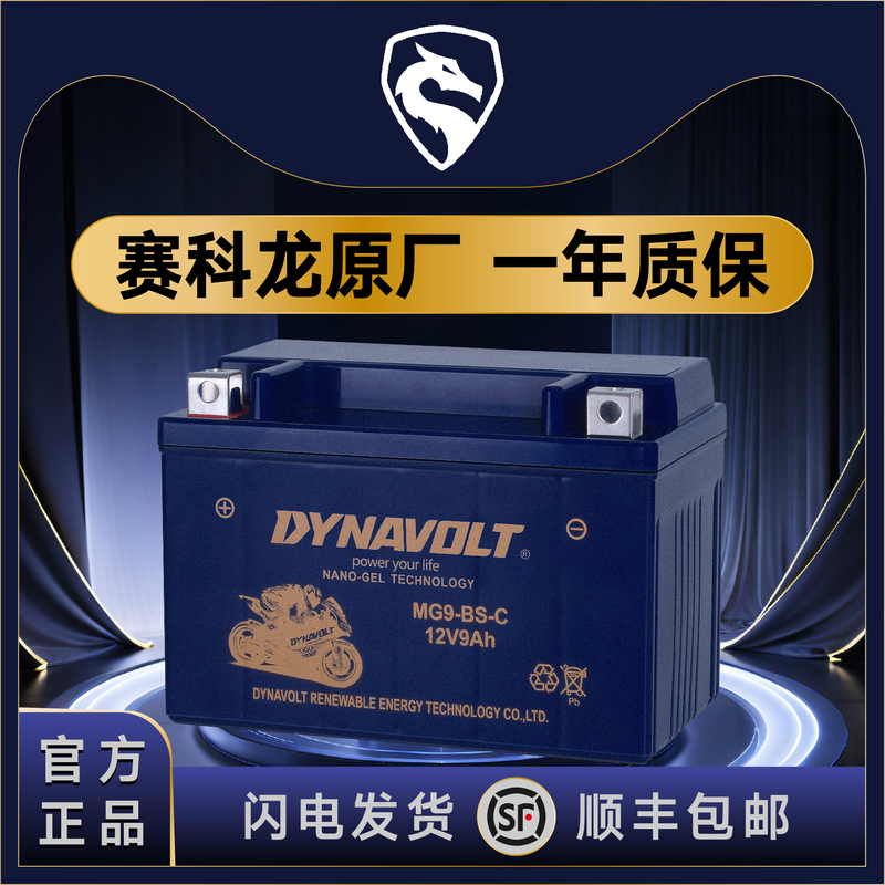 Zongshen Cyclone Re3 Rx3S Rx1 Rx4 Rz3S Ra2 Rg3 Rt3 Rc401 Rx500 Battery