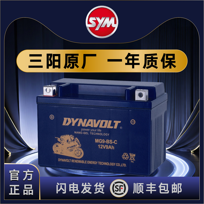 Sanyang Cruiser 150/X Cruiser 30 Cruiser 1800 Rv180 Nine Sister Joymax Z300 Rv250 Battery