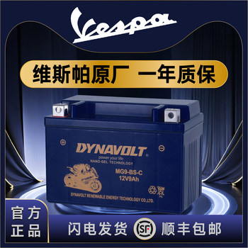 Vespa gts300 gtv300 gts250 lxv150 piaggio mine spring battery