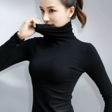 Демисезонный бархатный черный лонгслив, высокий воротник, с рукавом, увеличенная толщина, в западном стиле