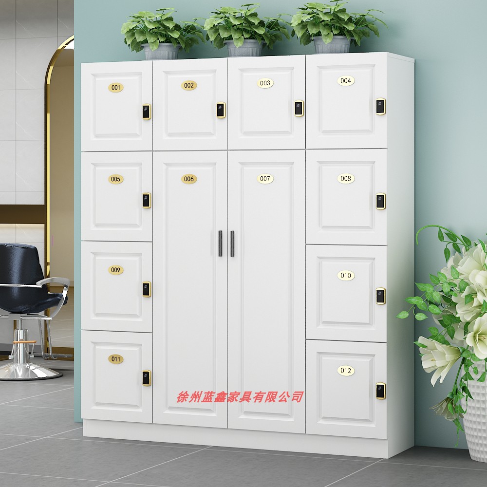 Wooden locker Hairdressershop Locker Yoga Gallery Gallery Gymnasium Beauty Hairdresser Collection Cabinet with Lock