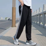 Adidas, штаны для тренировок, для бега