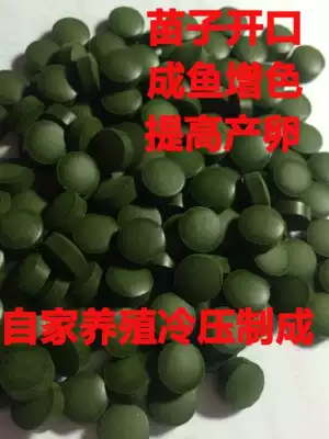 Chlorella fish food feed Chlorella beard Fan shaped fish panda maze Zebra mouse Fry opening