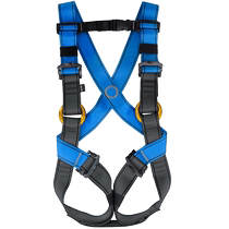 Walking Tianya childrens rock climbing safety belt high-altitude expansion training full body safety belt outdoor safety protection belt