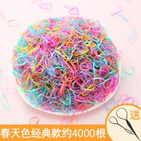 Весенний цвет классики 4000 корней