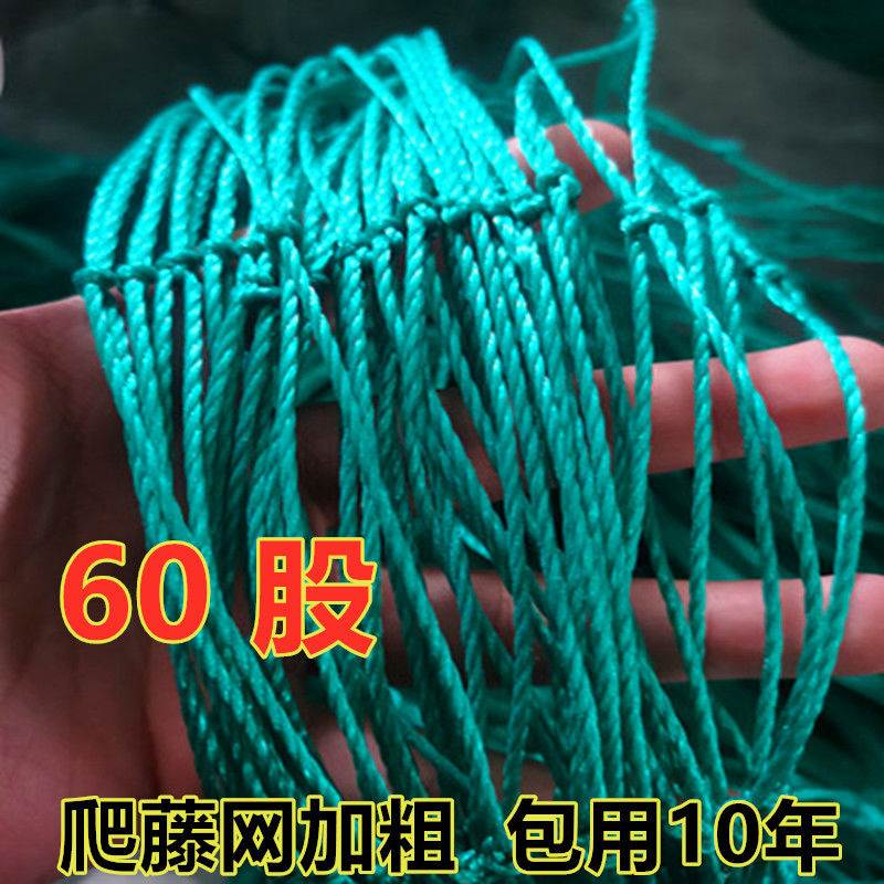 60 strands of plant Climbing Vine Web Planting Nets Hundreds of Fragrant Fruits Private Network Silk Melon Cucumber Vine Flowers Gold Gge Indoor Climbing