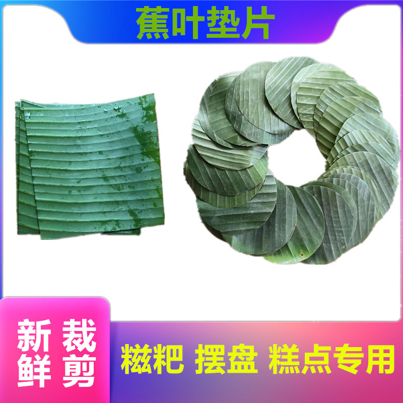 Fresh Banana Leaves, Banana Leaf Pads, Special Pads for Rice Cakes, Pastries, Barbecue, and Plating, Sticky Rice Banana Leaf Pads