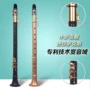 Dễ dàng Saxophone Saxophone Nhạc cụ Người mới bắt đầu Mini Pocket Vocal Entry - Nhạc cụ phương Tây đàn guitar điện