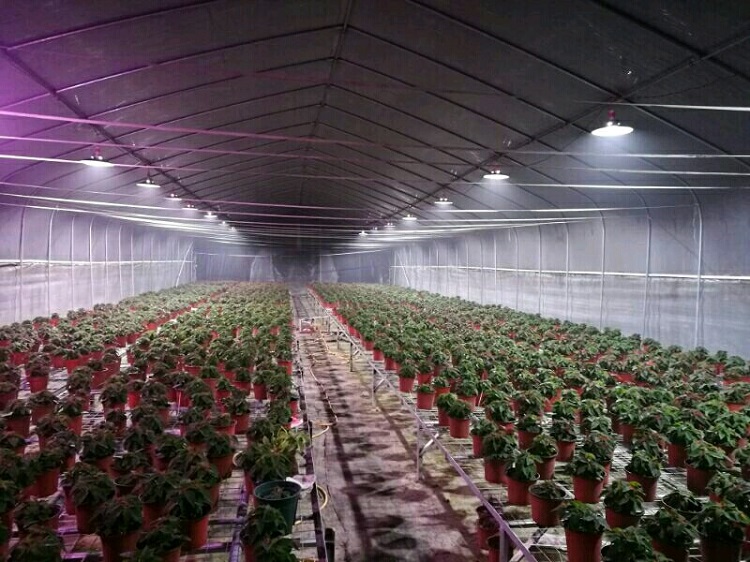 植物生长灯 植物补光灯 大棚补光灯 厦门三农卉光电科技有限公司