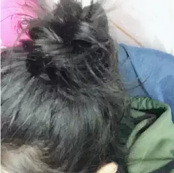 Hair ring head flower hair ring wig jewelry simulation modeling fluffy hair bag plate hair bud hair decoration women's rubber band