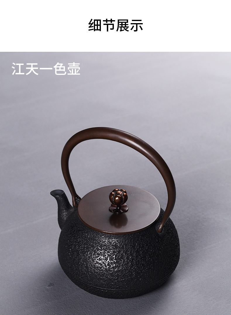 Love iron pot of household electricity TaoLu cast iron pot of boiling tea teapot suit Japanese tea stove boiling pot of tea