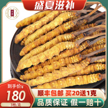 Yunlu Cordyceps Lyophilized Natural Cordyceps High quality Cordyceps Gift Box SF 3 g
