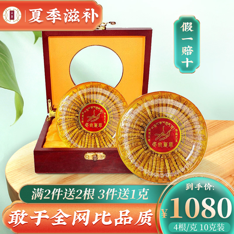 Cloud Foothills Fresh Caterpillar Fungus Caterpillar Fungus Freeze-dried Head Period Dry Goods Caterpillar Fungus 4 Genc 10 gr Loaded Gift Boxes