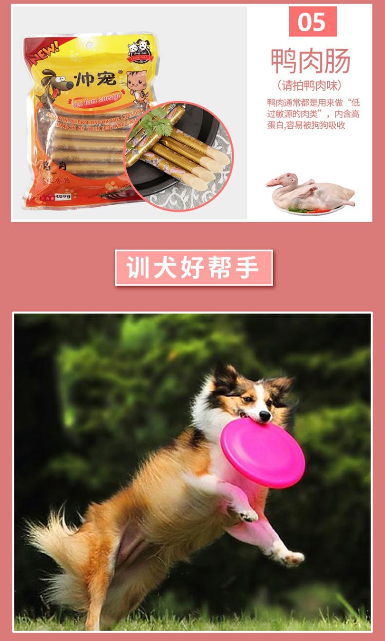 30 chú chó cưng Teddy ăn đồ ăn nhẹ xúc xích giăm bông thú cưng đẹp trai mèo và chó xúc xích giăm bông - Đồ ăn vặt cho chó bánh thưởng chó