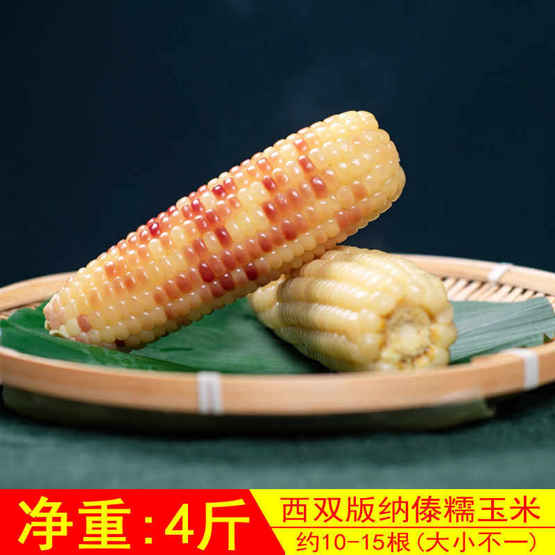 Dai waxy corn (not old and not tender) Yunnan Xishuangbanna sweet sticky corn freshly cooked 4 pounds