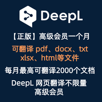 deepl pro专业版翻译独享会员pdf docx txt文档文献翻译deepl会员