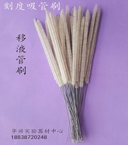 Pipette brush Pipette brush Scale Pipette brush Test tube brush Instrument brush Colorimetric tube brush Tube brush