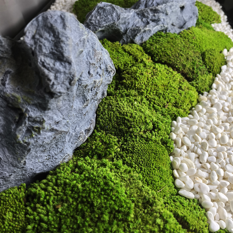 Everlasting Moss Plant Wall, White Hair Moss, Dried Flower Background Wall, Moss Landscaping, Indoor Dry Landscape, Simulated Moss