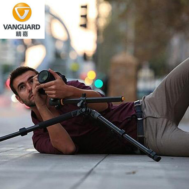 Virtuoso (Vanguard) Alta BH-300 BH-250 BH-100 BH-100 single eye camera spherical tripod head