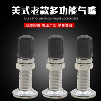 British style valve old bicycle tire valve compression valve old pile water rocket valve